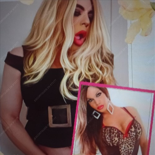 HELLERUP/ DUO TRANS CAMILLA AND KAREN | ☎️ 55243183