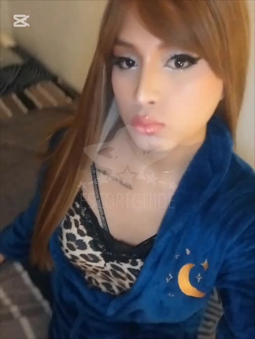 GIANINA Young Trans 🥂❄️Partyy!!! 19cm🍌 | ☎️ 55210121 (Video)